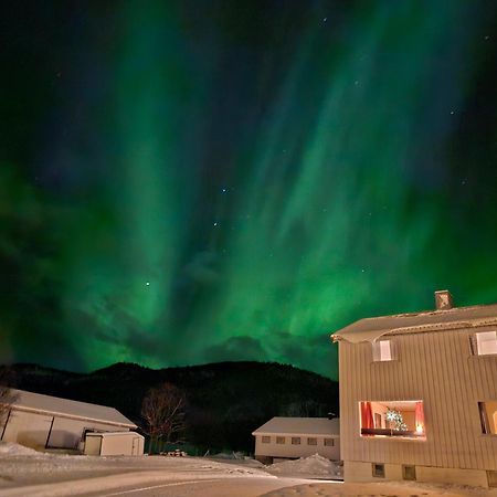 特罗姆瑟Tonsvik Enebolig别墅 外观 照片